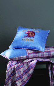 夏凉被 枕头 席子 凉席 家纺