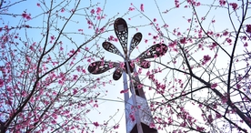 樱花桃花花艺图片