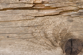 木纹