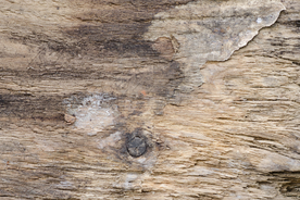 木纹