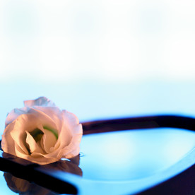 SPa会所  会所静物 花