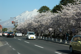日本富士山