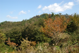 古建摄影 风景摄影 旅游景点