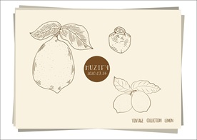 3款入柠檬手绘稿