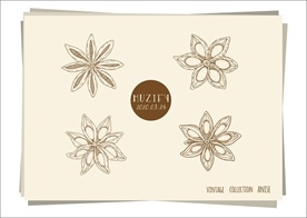 4款入八角 茴香 手绘稿