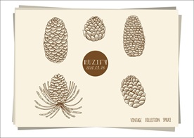 5款入松果手绘稿