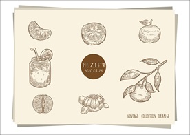 7款入桔子 橙子 手绘稿