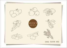 8款入草本植物手绘稿