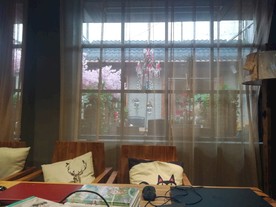 午后咖啡店的窗纱