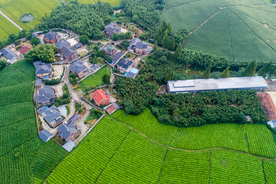 村庄鸟瞰