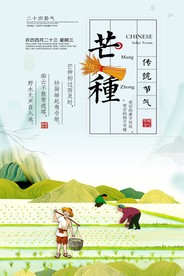 芒种插秧插画海报