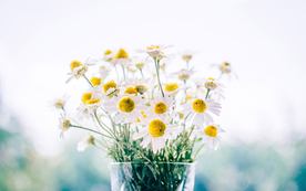 花艺插花捧花桌花图片