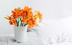 花艺插花捧花桌花图片