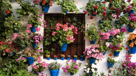 花艺插花捧花桌花图片