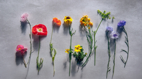 花艺插花捧花桌花图片