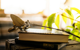 花艺插花捧花桌花图片