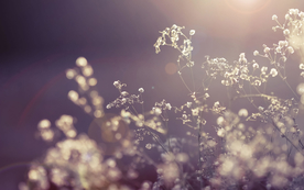 花艺插花捧花桌花图片