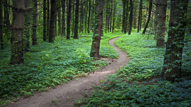 公路山路小径小道图片