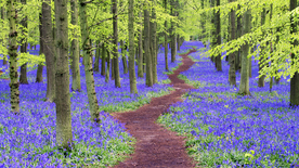 公路山路小径小道图片