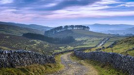 公路山路小径小道图片