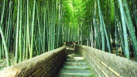 公路山路小径小道图片