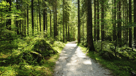 公路山路小径小道图片