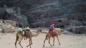 骆驼驼队沙漠戈壁荒野