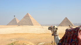 骆驼驼队沙漠戈壁荒野