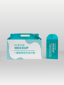 礼盒包装样机