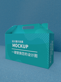 礼盒包装样机