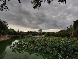 阴天公园小湖