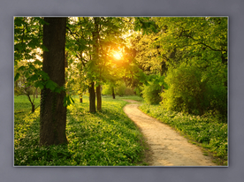 摄影  林栈道路