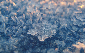 雪花冰花冰霜窗花图片