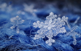 雪花冰花冰霜窗花图片