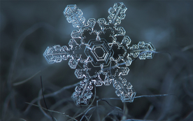 雪花冰花冰霜窗花图片