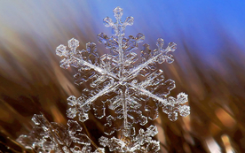 雪花冰花冰霜窗花图片