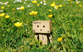 纸盒人盒子人萌宠图片