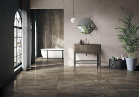 饰品  绿植 盆栽