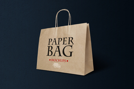 牛皮纸袋样机