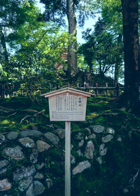 指示牌路牌导向指示图片