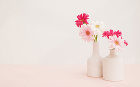 室内盆栽花草摆设搭配