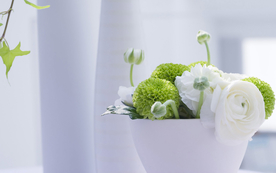 室内盆栽花草摆设搭配