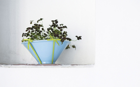 室内盆栽花草摆设搭配