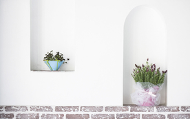 室内盆栽花草摆设搭配