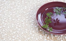 室内盆栽花草摆设搭配