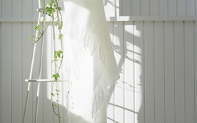 室内盆栽花草摆设搭配