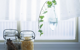 室内盆栽花草摆设搭配