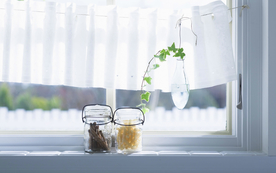 室内盆栽花草摆设搭配