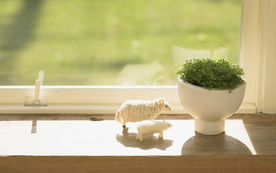 室内盆栽花草摆设搭配