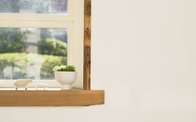 室内盆栽花草摆设搭配